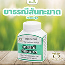 ยาแคปซูลธรณีสันทะฆาต (หมอลูกอินทร์)