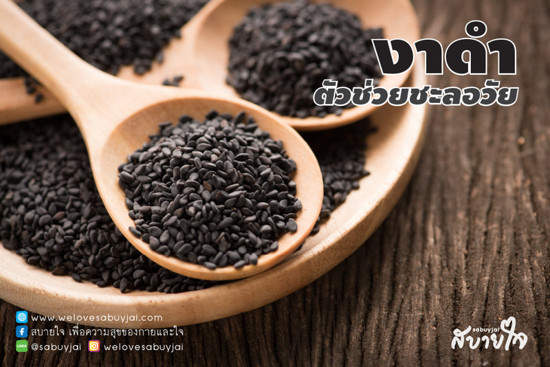 งาดำ (Black Sesame)  | Health benefit of Black Sesame Seeds