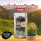 งาดำแท่งผสมข้าวกล้อง 85 g (ละเอียดลออ)
