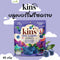 บลูเบอร์รีฟรีซดราย 13 กรัม (Kin’s Nature)