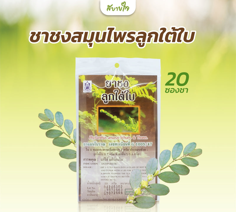 ชาชงสมุนไพรลูกใต้ใบ 20 ซอง (แด่ชีวิต)