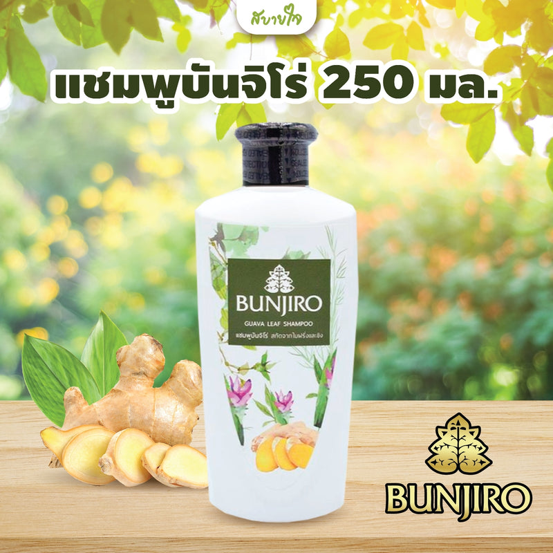 แชมพูบันจิโร่ 250 มล.(บันจิโร่)